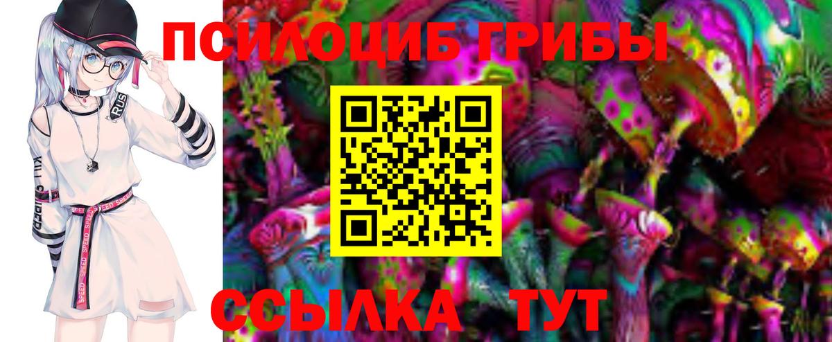 Сибай  Галлюциногенные грибы мицелий  Псилоцибиновые грибы Magic Shrooms  Вход с VPN 